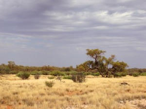 Some of the more isolated areas in Australia are found in the north and the centre of the Country - Image from AussieStock